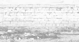 Das Bild zeigt eine verblasste Mauer, die als Hintergrund für einzelne Webseiten dient.