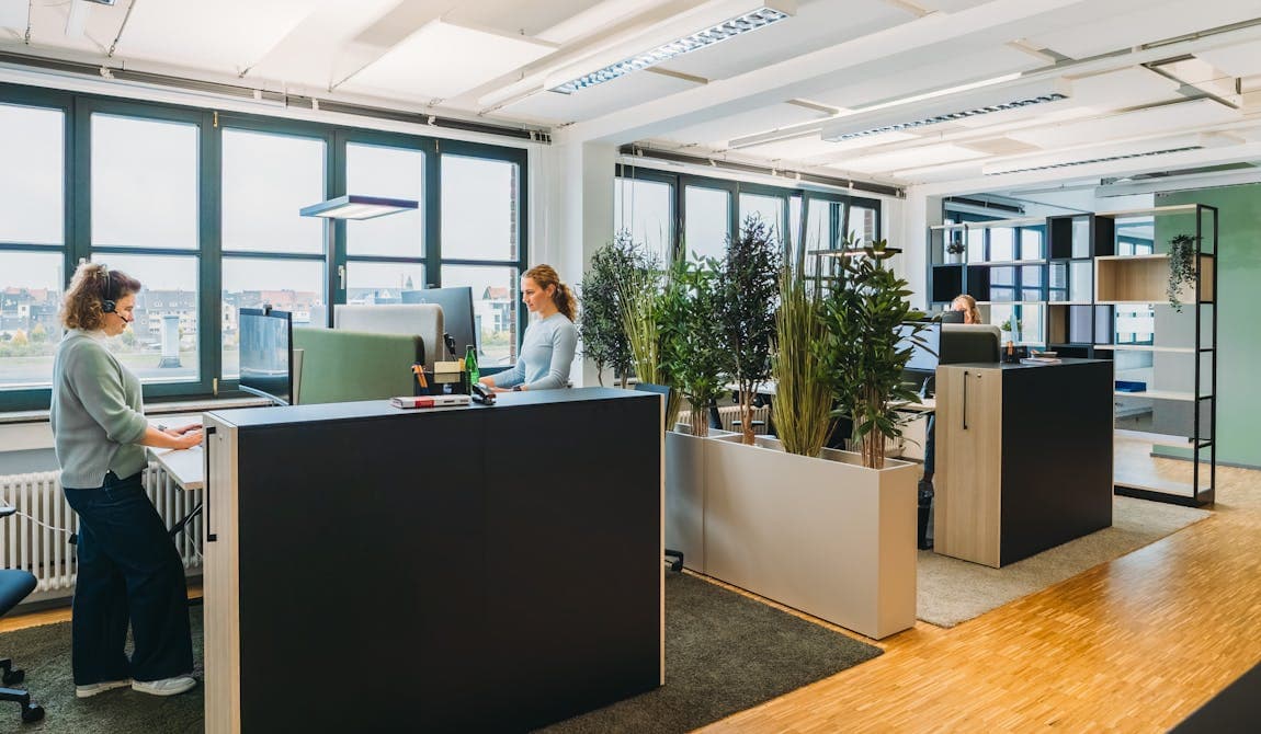 Zu sehen ist der Einblick in ein offenes Büro bei PhysioSport Köln. Zu sehen sind weitere Arbeitsbereiche, Blumen und diverse Trennwände.